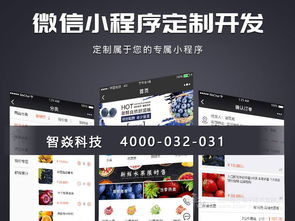 鄭州軟件開發服務 高效供應與批發解決方案